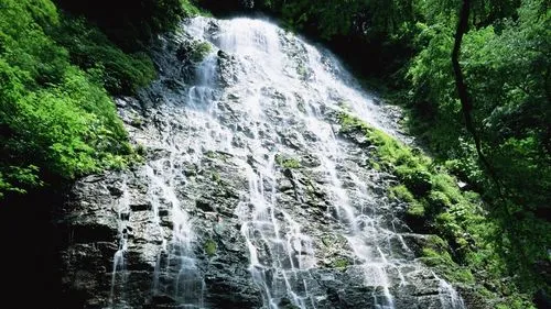 绿色高端